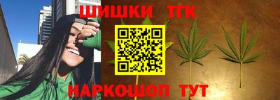 Альфа ПВП Пенза