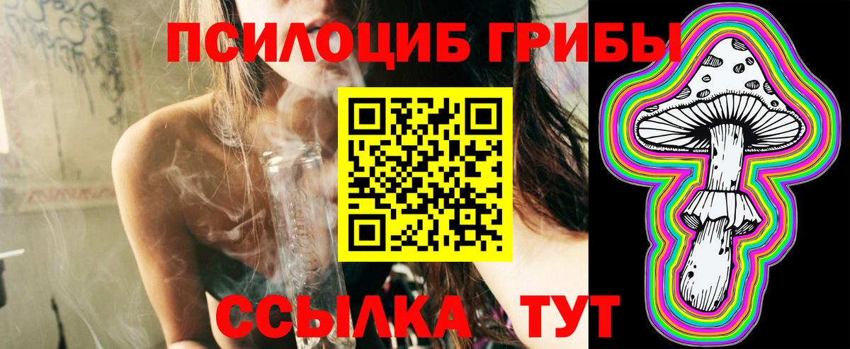 Скопин  Псилоцибиновые грибы GOLDEN TEACHER  где найти наркотики  Вход с VPN 