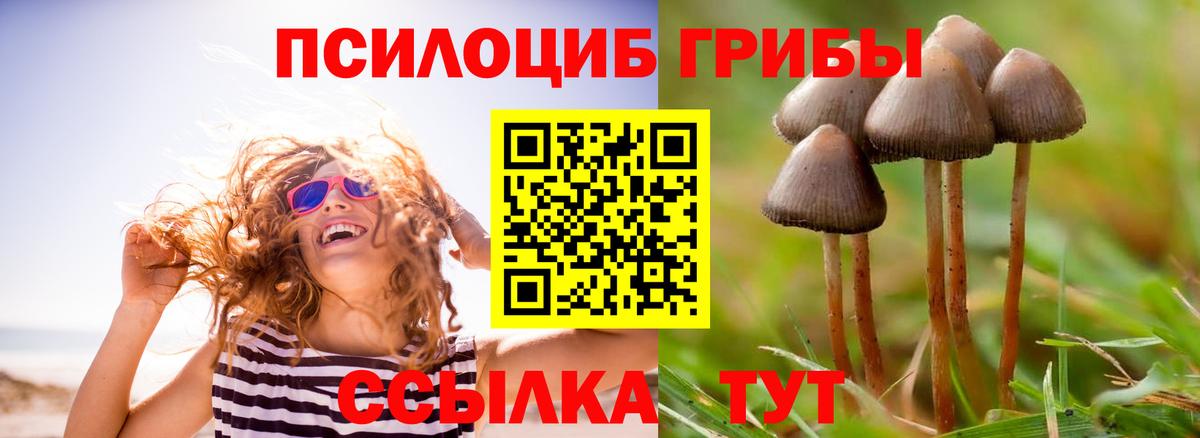 Галлюциногенные грибы мицелий Скопин
